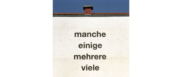 manche einige mehrere